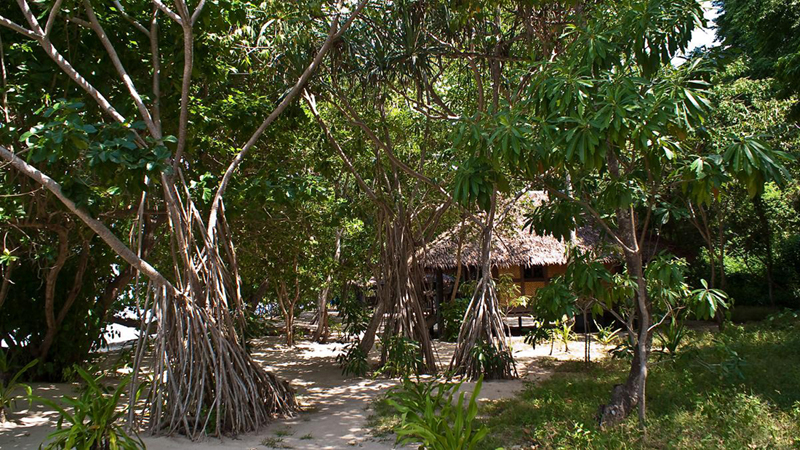 015-Bungalow-3 015-Bungalow-3